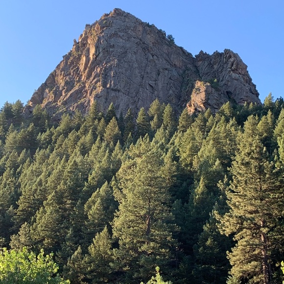 Meet your Posher, David - Picture 1 of 1